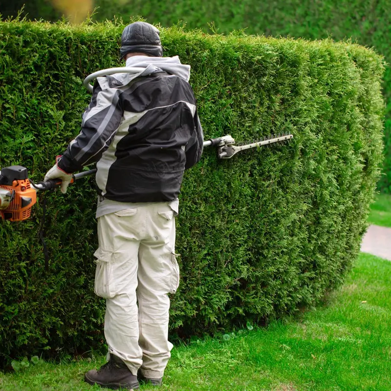 Hedge-Trimming