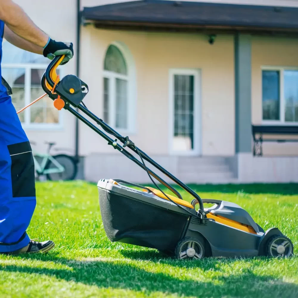 Lawn Lowing Hermantown