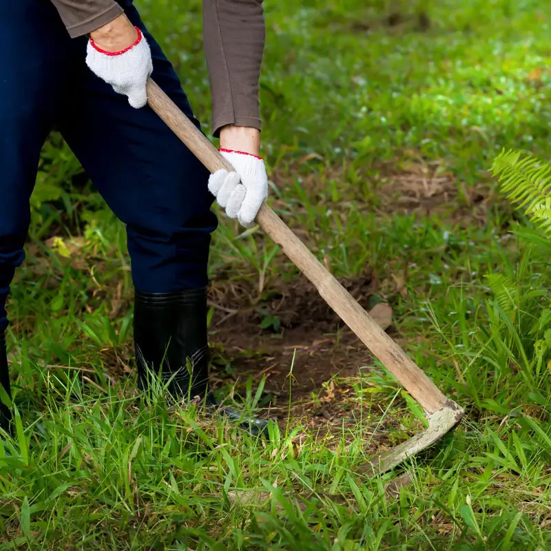 Weed-Removal