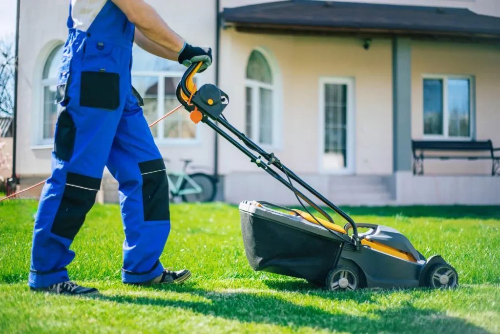 Lawn Services Superior City
